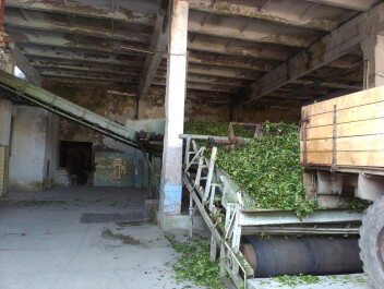 photo 1104394