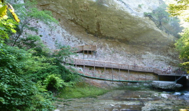 P1000974