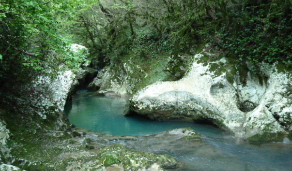 P1000969