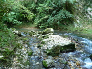 photo 1104405