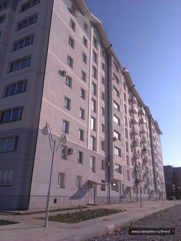photo 1104419