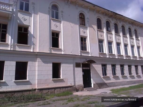 photo 1104428