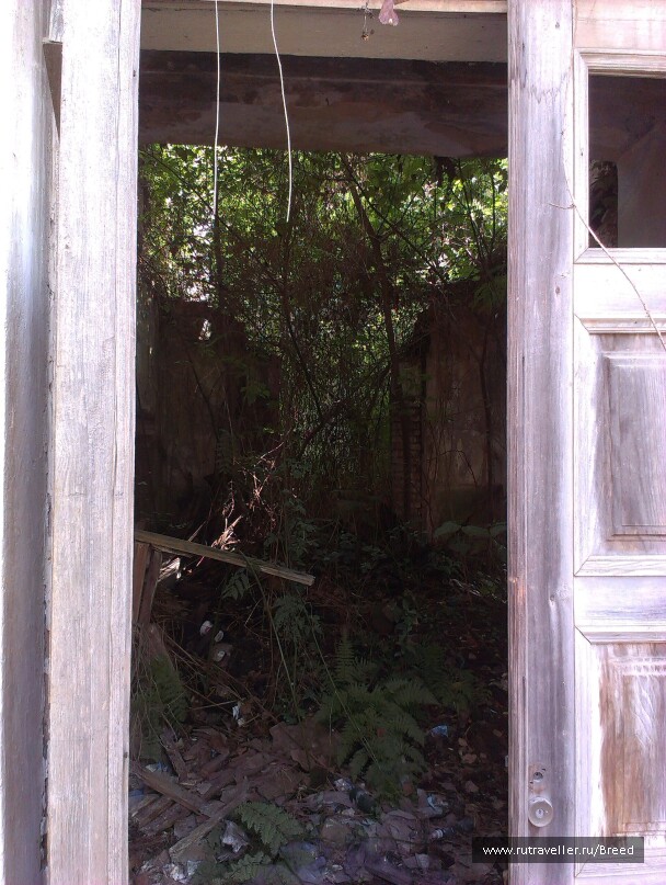 photo 1104430