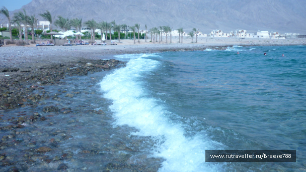 photo 173586
