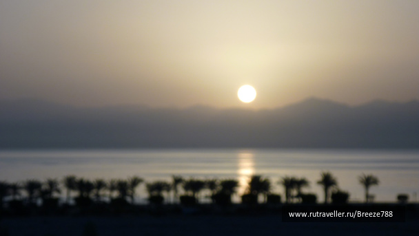 photo 173587