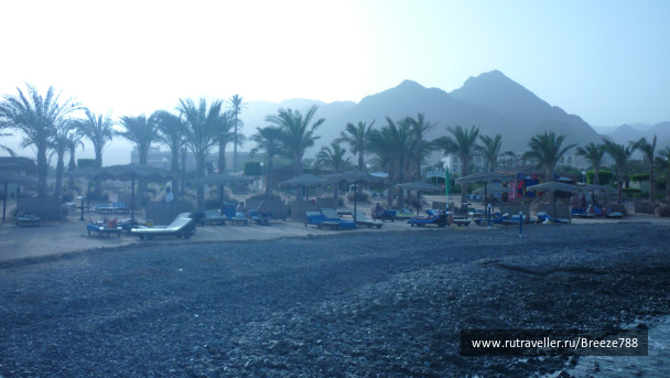 photo 173593