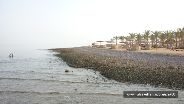 photo 173595