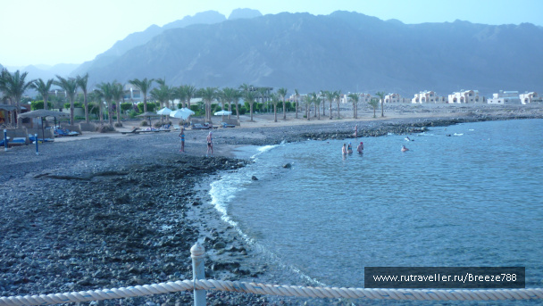 photo 173596