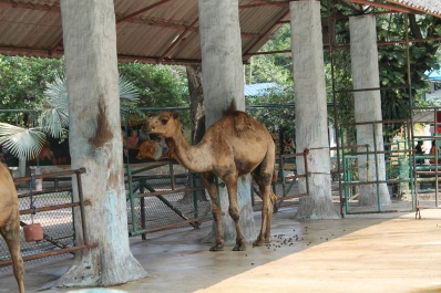 photo 774302