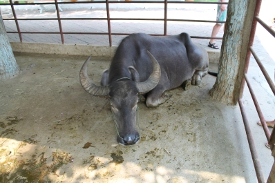 photo 774305