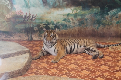 photo 774313