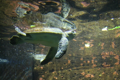 photo 820951