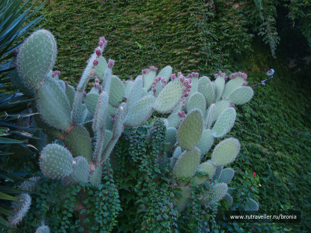photo 72738