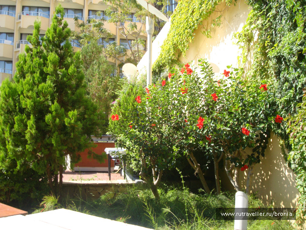 photo 72745