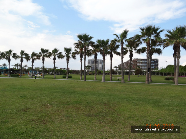 photo 381603