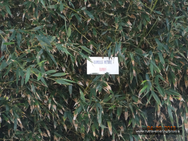 photo 381632