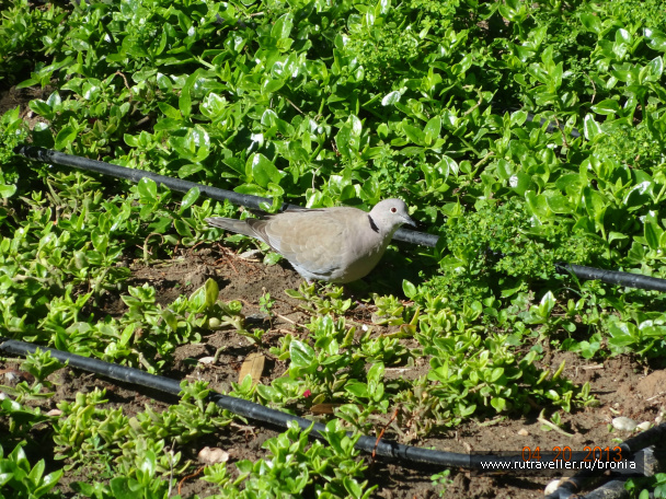 photo 381638