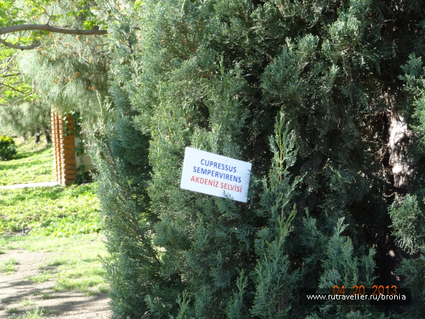 photo 381642