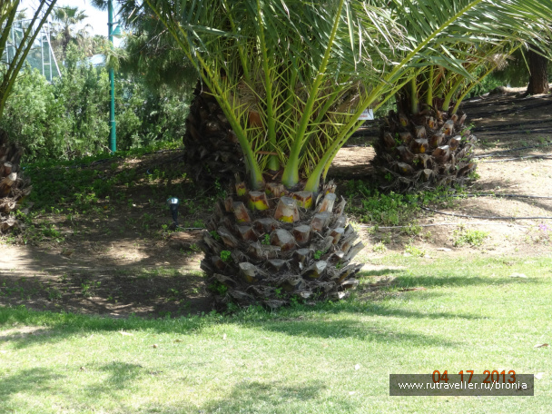 photo 381672
