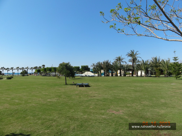 photo 381717
