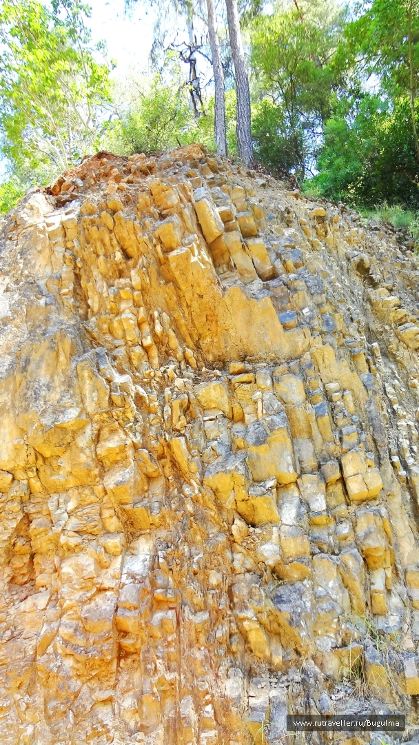 photo 805014