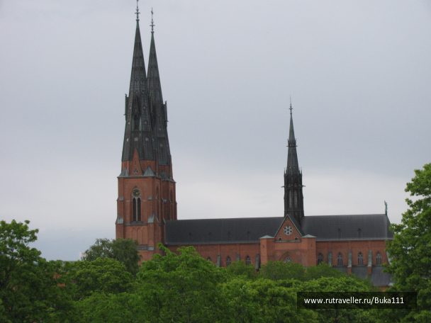 photo 1089612