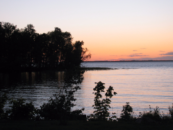 photo 1245879