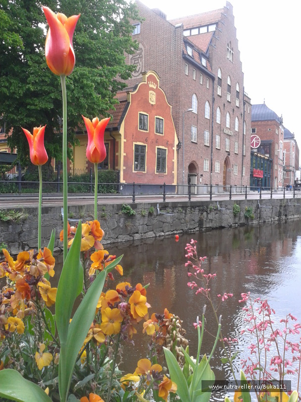 photo 1245892