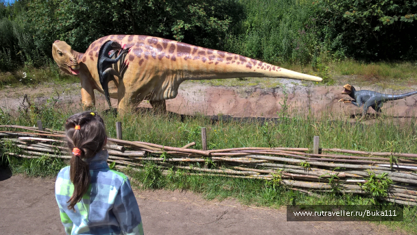 photo 1337469