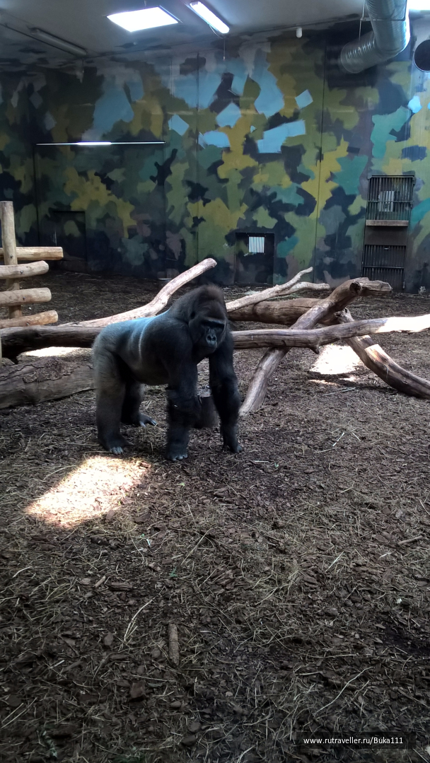 photo 1337471