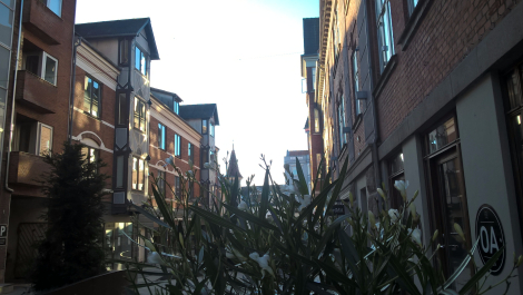 photo 1337472