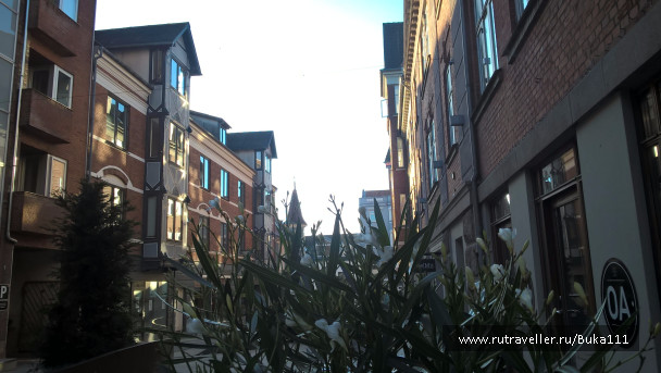 photo 1337472
