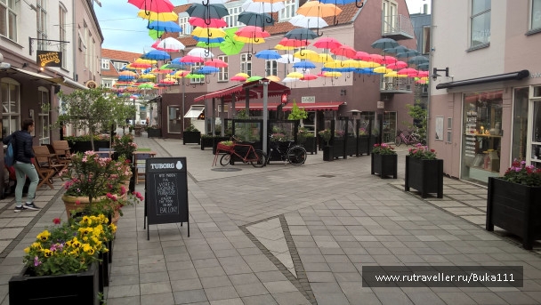 photo 1337473