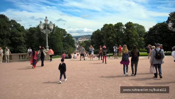 photo 1337457