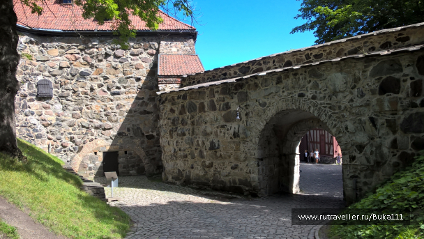 photo 1337464