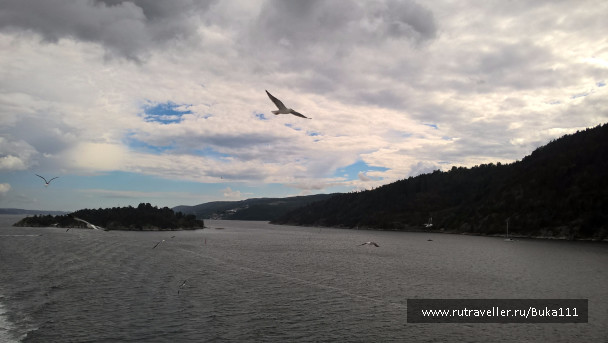 photo 1337465