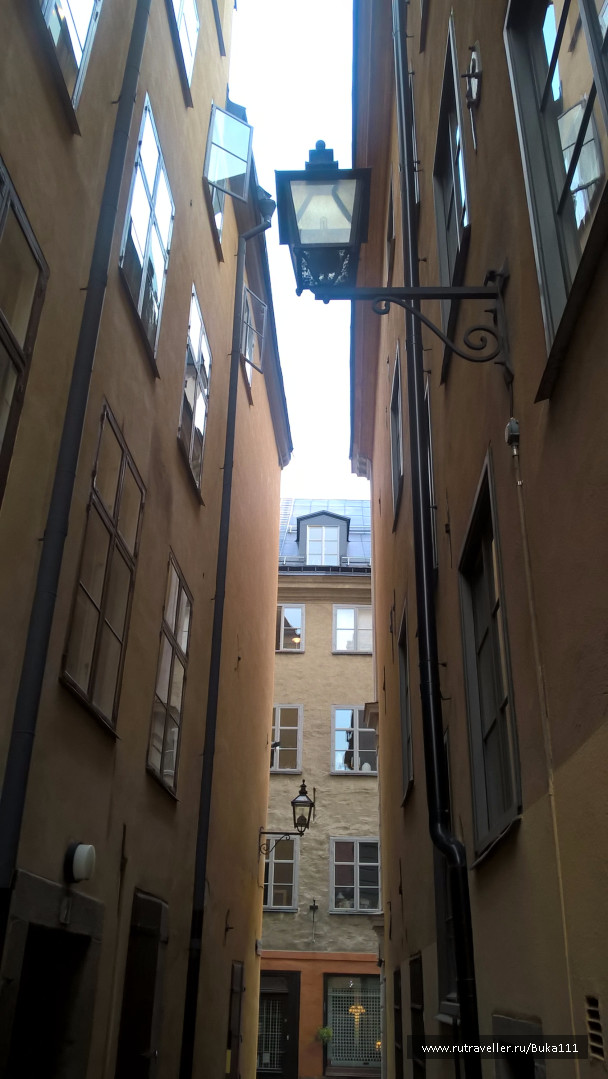 photo 1337450