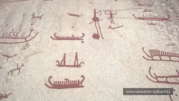 photo 1337456