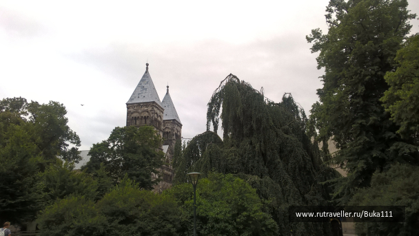 photo 1337480
