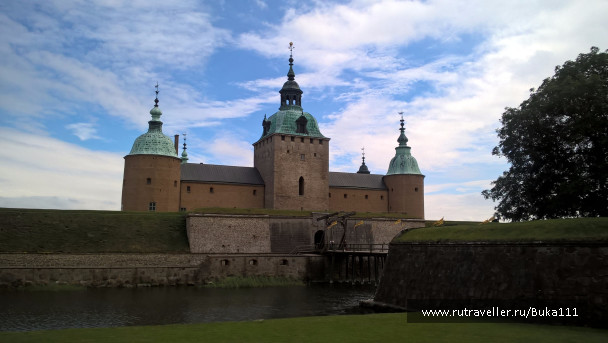 photo 1337481