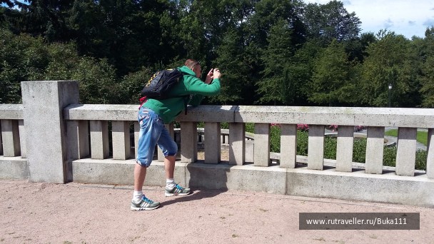 photo 1337808