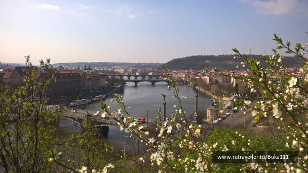 photo 1523240