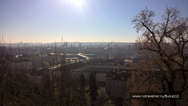 photo 1523247