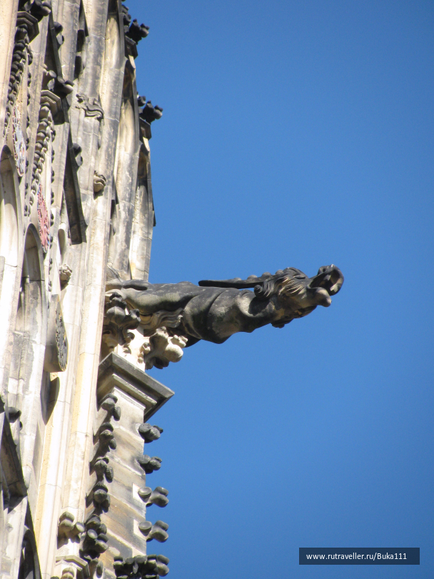 photo 1523256