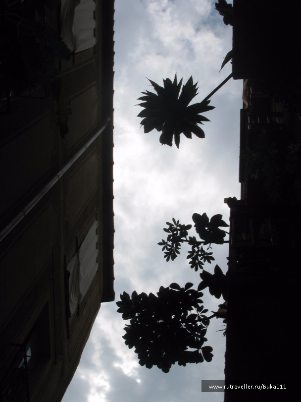 photo 1525128