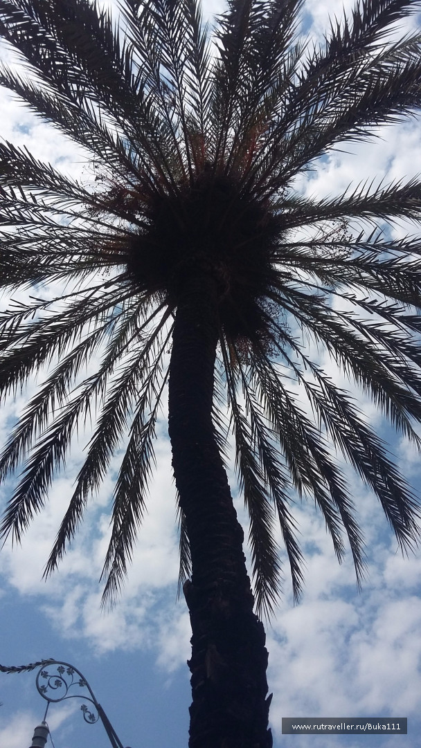 photo 1525140