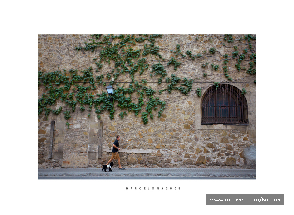 photo 124533