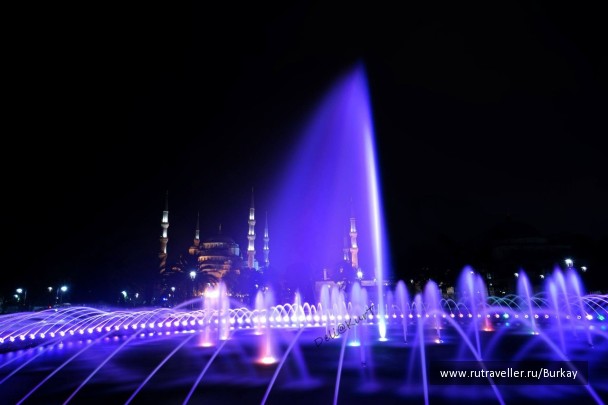 photo 1049654