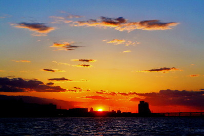 photo 1625722
