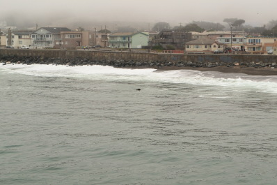 photo 1068598